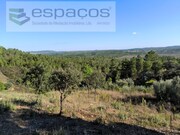 Terreno Rstico - Sarzedas, Castelo Branco, Castelo Branco - Miniatura: 5/9