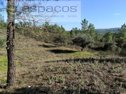 Terreno Rstico - Sarzedas, Castelo Branco, Castelo Branco - Miniatura: 6/9