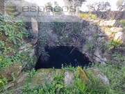 Quinta - Pvoa de Rio de Moinhos, Castelo Branco, Castelo Branco - Miniatura: 3/9