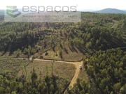 Terreno Rstico - Sarzedas, Castelo Branco, Castelo Branco - Miniatura: 7/9