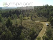 Terreno Rstico - Sarzedas, Castelo Branco, Castelo Branco - Miniatura: 9/9