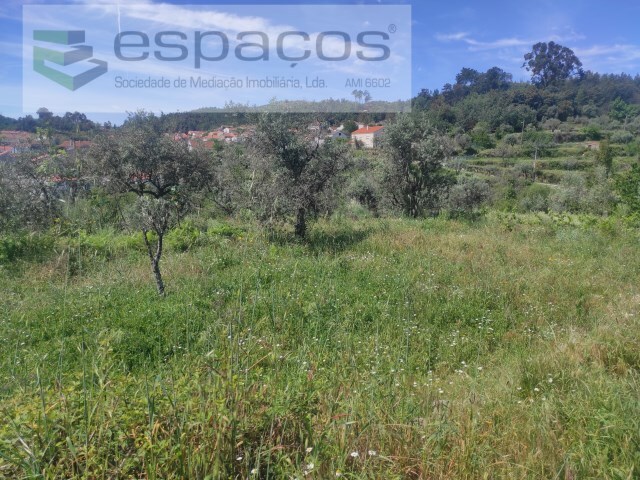 Terreno Rústico - São Vicente da Beira, Castelo Branco, Castelo Branco - Imagem grande