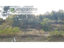 Terreno Rstico - Castelo Branco, Castelo Branco, Castelo Branco