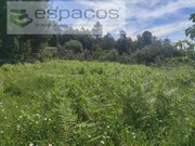 Terreno Rstico - So Vicente da Beira, Castelo Branco, Castelo Branco - Miniatura: 3/9