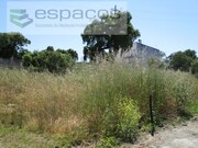 Terreno Rstico - Escalos de Cima, Castelo Branco, Castelo Branco - Miniatura: 2/6