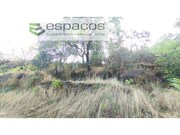 Terreno Rstico - Castelo Branco, Castelo Branco, Castelo Branco - Miniatura: 1/6