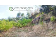 Terreno Rstico - Castelo Branco, Castelo Branco, Castelo Branco - Miniatura: 3/6