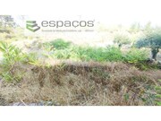 Terreno Rstico - Castelo Branco, Castelo Branco, Castelo Branco - Miniatura: 4/6