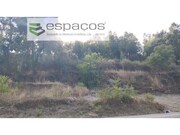 Terreno Rstico - Castelo Branco, Castelo Branco, Castelo Branco - Miniatura: 6/6