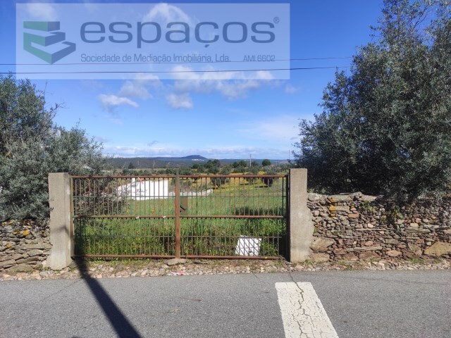 Terreno Rústico - Castelo Branco, Castelo Branco, Castelo Branco - Imagem grande