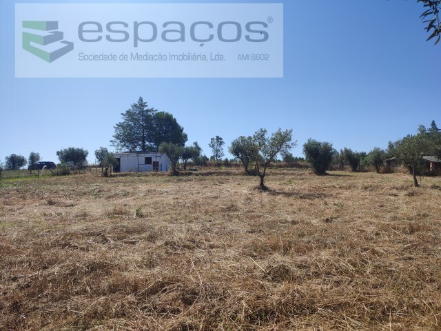 Quinta T1 - Ladoeiro, Idanha-a-Nova, Castelo Branco - Imagem grande