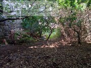 Armazm - Salvador, Penamacor, Castelo Branco - Miniatura: 8/9