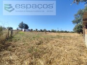 Quinta T1 - Ladoeiro, Idanha-a-Nova, Castelo Branco - Miniatura: 7/9