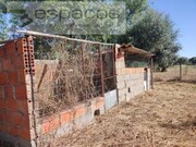 Quinta T1 - Ladoeiro, Idanha-a-Nova, Castelo Branco - Miniatura: 8/9
