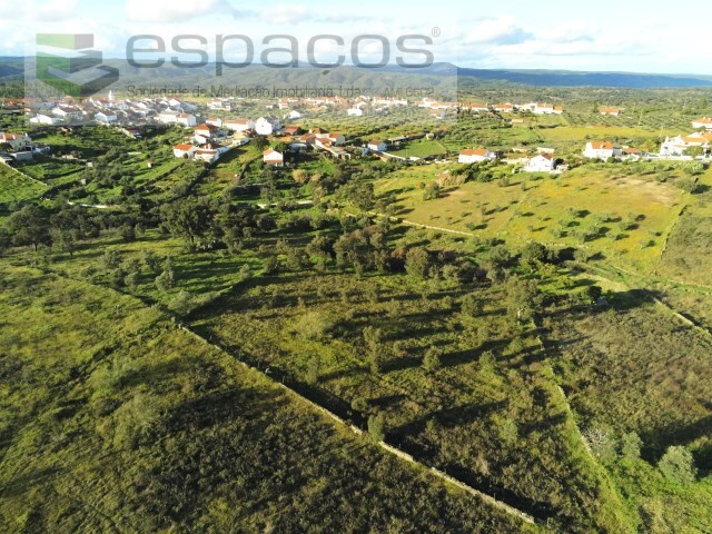 Terreno Rstico - Castelo Branco, Castelo Branco, Castelo Branco - Imagem grande