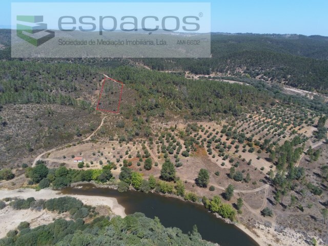 Terreno Rústico - Sarzedas, Castelo Branco, Castelo Branco - Imagem grande
