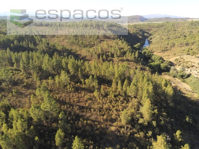 Terreno Rstico - Freixial do Campo, Castelo Branco, Castelo Branco - Imagem grande