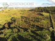 Terreno Rstico - Castelo Branco, Castelo Branco, Castelo Branco - Miniatura: 2/9