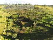 Terreno Rstico - Castelo Branco, Castelo Branco, Castelo Branco - Miniatura: 4/9