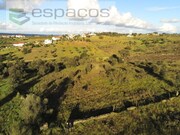 Terreno Rstico - Castelo Branco, Castelo Branco, Castelo Branco - Miniatura: 6/9