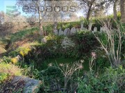 Terreno Rstico - Castelo Branco, Castelo Branco, Castelo Branco - Miniatura: 8/9