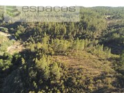 Terreno Rstico - Freixial do Campo, Castelo Branco, Castelo Branco - Miniatura: 1/9