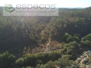 Terreno Rstico - Freixial do Campo, Castelo Branco, Castelo Branco - Miniatura: 2/9