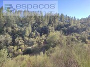 Terreno Rstico - Freixial do Campo, Castelo Branco, Castelo Branco - Miniatura: 3/9