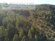 Terreno Rstico - Freixial do Campo, Castelo Branco, Castelo Branco - Miniatura: 4/9
