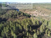 Terreno Rstico - Freixial do Campo, Castelo Branco, Castelo Branco - Miniatura: 5/9