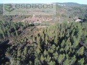 Terreno Rstico - Freixial do Campo, Castelo Branco, Castelo Branco - Miniatura: 6/9
