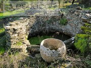 Quinta - Sarnadas de Rodo, Vila Velha de Rdo, Castelo Branco - Miniatura: 4/9