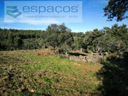 Quinta - Sarnadas de Rodo, Vila Velha de Rdo, Castelo Branco - Miniatura: 5/9