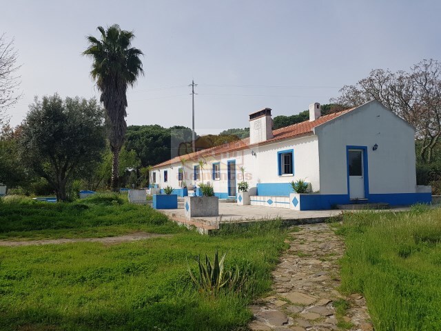 Quinta - Santa Margarida da Serra, Grndola, Setbal - Imagem grande