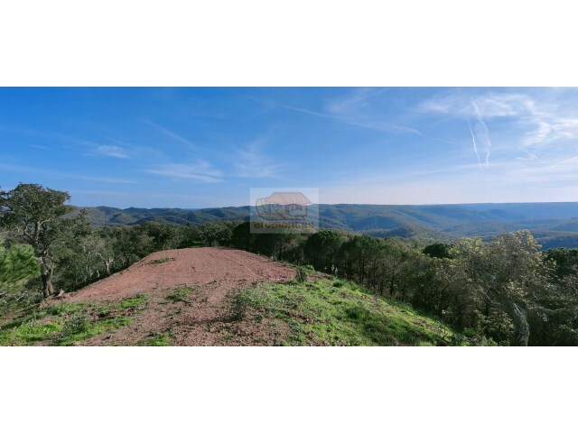 Terreno R�stico - Santa Margarida da Serra, Gr�ndola, Set�bal - Imagem grande