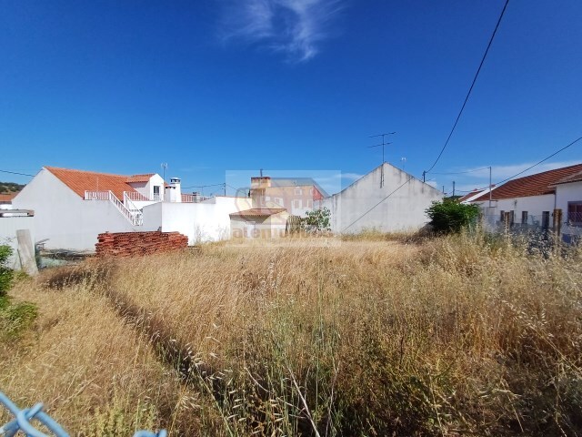 Outros - Torr�o, Alc�cer do Sal, Set�bal - Imagem grande