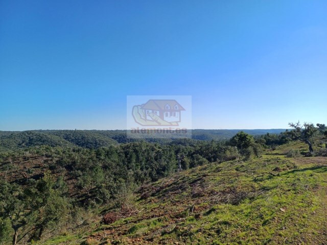 Terreno R�stico - Santa Margarida da Serra, Gr�ndola, Set�bal - Imagem grande