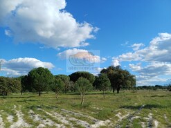 Terreno Rstico - Santa Margarida da Serra, Grndola, Setbal