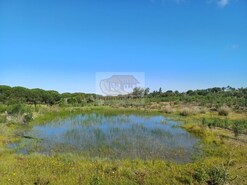 Terreno Rstico - Melides, Grndola, Setbal