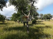 Terreno Urbano - Melides, Gr�ndola, Set�bal - Miniatura: 2/9