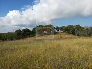 Terreno Urbano - Melides, Gr�ndola, Set�bal - Miniatura: 4/9