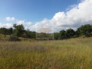 Terreno Urbano - Melides, Gr�ndola, Set�bal - Miniatura: 5/9