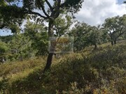 Terreno Urbano - Melides, Gr�ndola, Set�bal - Miniatura: 7/9