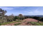 Terreno R�stico - Santa Margarida da Serra, Gr�ndola, Set�bal - Miniatura: 2/7