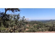 Terreno R�stico - Santa Margarida da Serra, Gr�ndola, Set�bal - Miniatura: 6/7