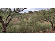 Terreno R�stico - Santa Margarida da Serra, Gr�ndola, Set�bal - Miniatura: 7/7