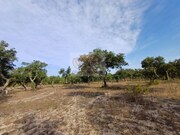 Terreno Rstico T3 - Santa Margarida da Serra, Grndola, Setbal - Miniatura: 6/6