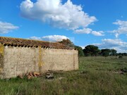Terreno Rstico - Santa Margarida da Serra, Grndola, Setbal - Miniatura: 2/9