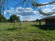 Terreno Rstico - Santa Margarida da Serra, Grndola, Setbal - Miniatura: 3/9