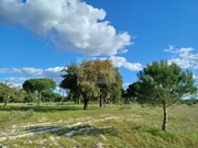 Terreno Rstico - Santa Margarida da Serra, Grndola, Setbal - Miniatura: 4/9